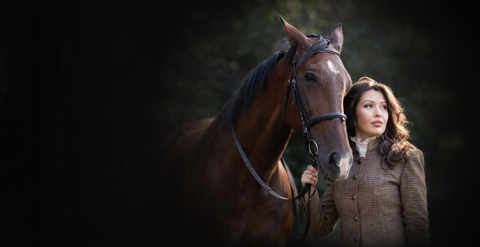 Програми з кіньми SHINE